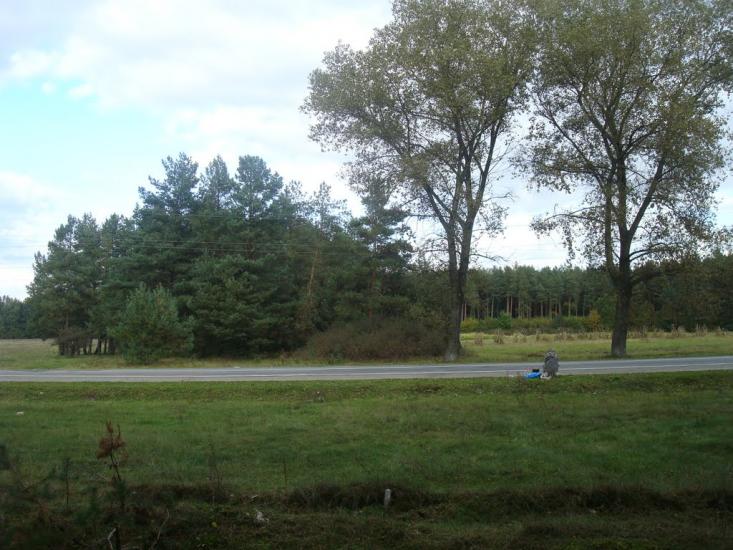 Цвітоха з panoramio.com - Цветоха