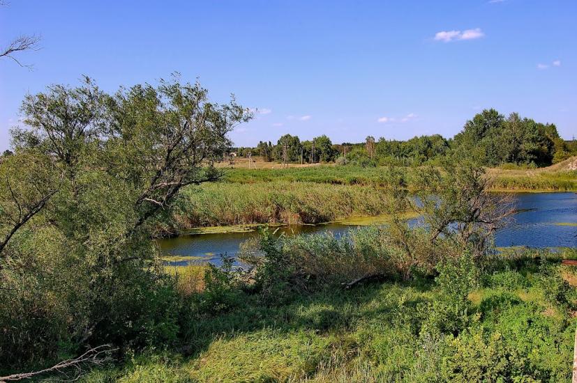 Новоайдар з panoramio.com - Новоайдар