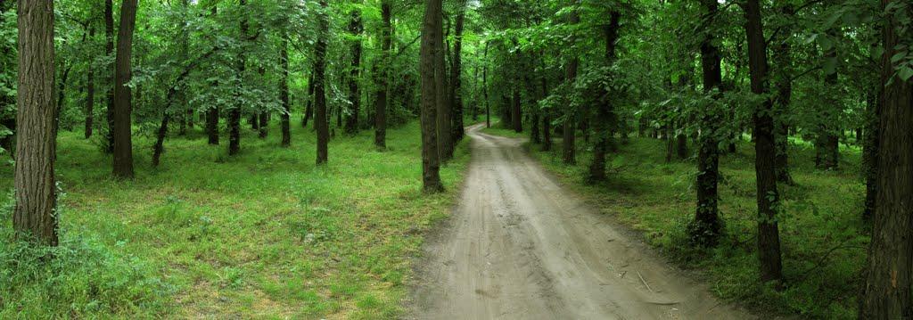 Інгулець з panoramio.com - Ингулец