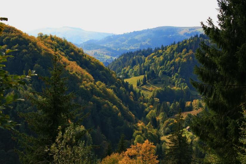 Брустурів з panoramio.com - Брустуров