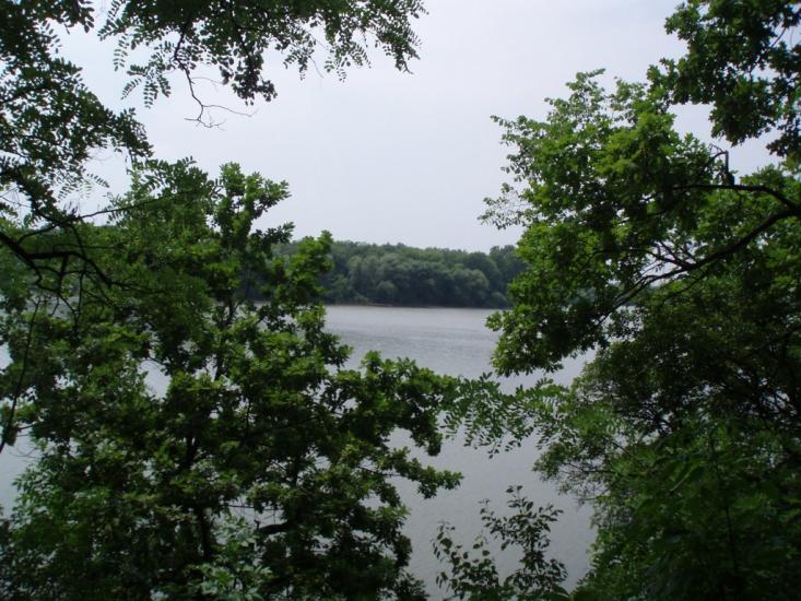 Комісарівка з panoramio.com - Комісарівка