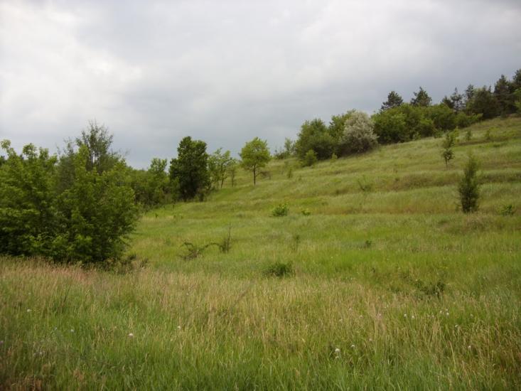 Юрки з panoramio.com - Юрки