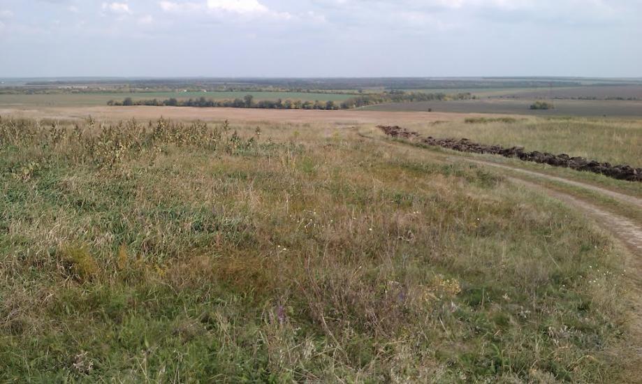 Кам'янка з panoramio.com - Кам'янка