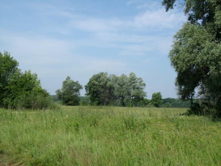 Старий Караван з panoramio.com - Старый Караван