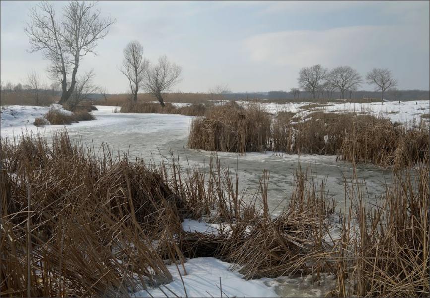 Сиротине з panoramio.com - Сиротине
