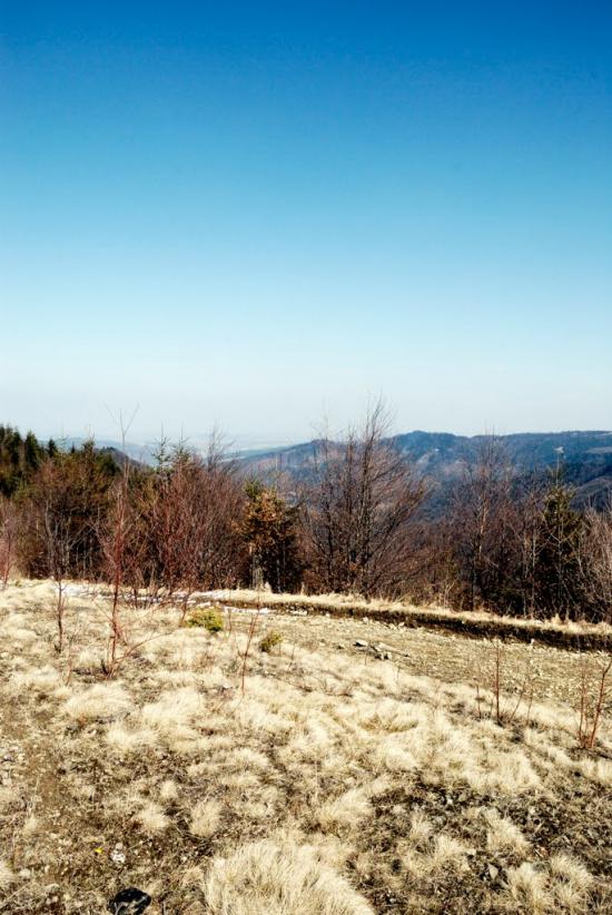 Букове з panoramio.com - Букове