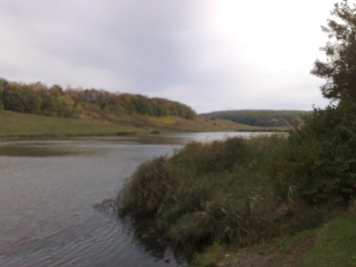 Питомник з panoramio.com - Питомник