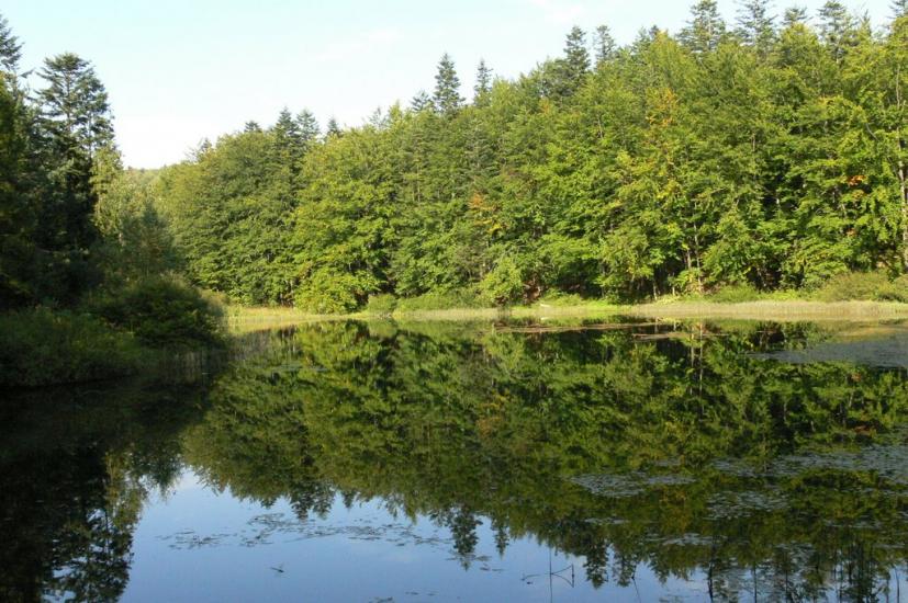 Труханів з panoramio.com - Trukhaniv