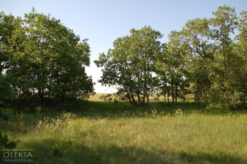 Вікторівка з panoramio.com - Викторовка