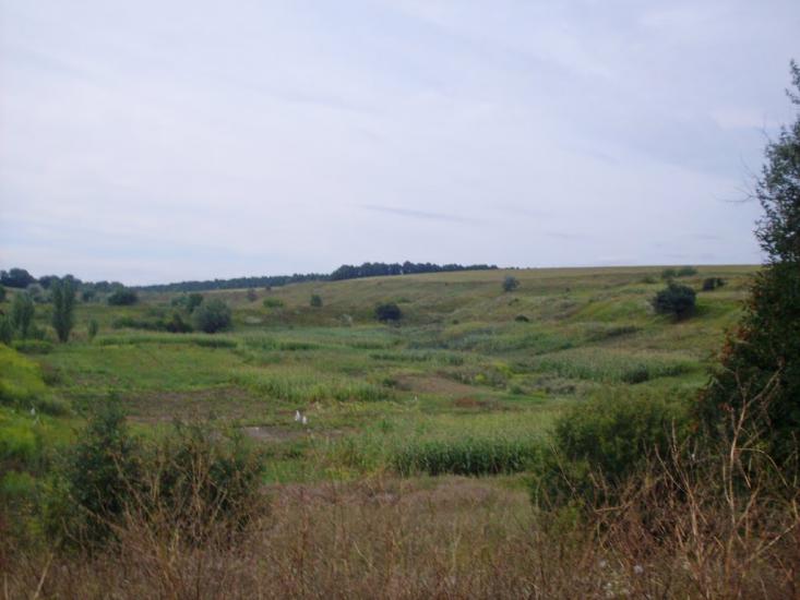 Млинки з panoramio.com - Млынки