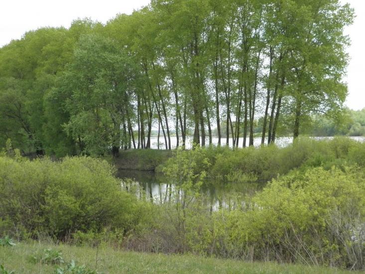 Киселівка з panoramio.com - Киселівка