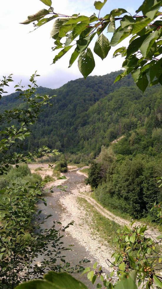 Прокурава з panoramio.com - Прокурава