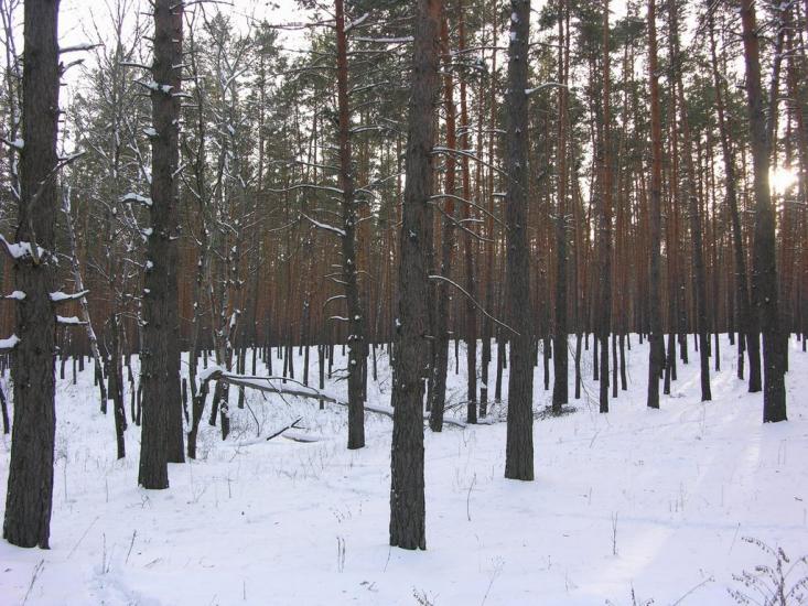 Крейдянка з panoramio.com - Крейдянка