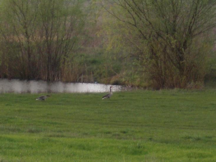 Верхня Мануйлівка з panoramio.com - Верхня Мануйлівка