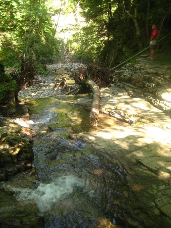 Кричка з panoramio.com - Кричка
