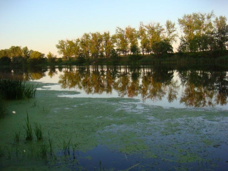 Шелудьківка з panoramio.com - Sheludkivka