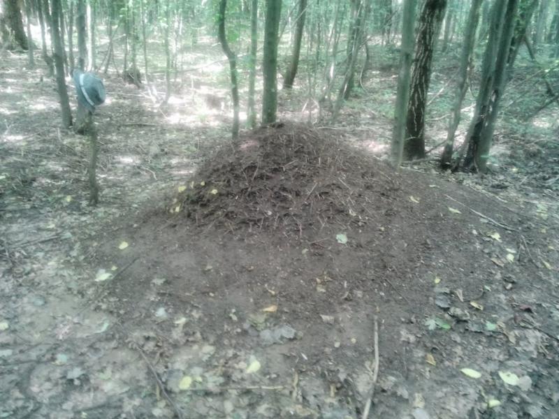 Бахматівці з panoramio.com - Bakhmativtsi