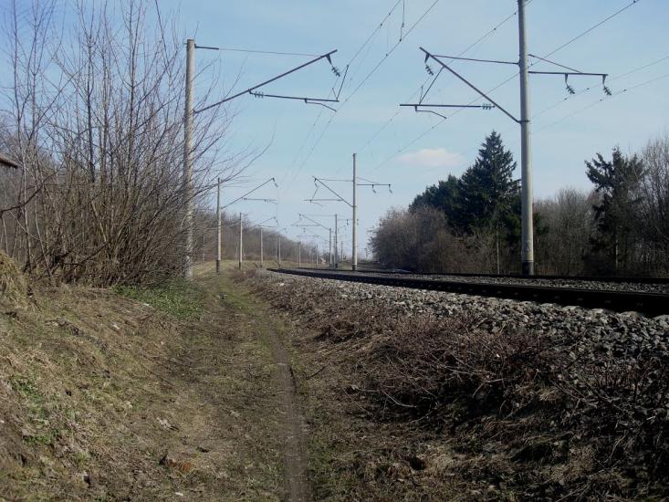 Радівці з panoramio.com - Радовцы