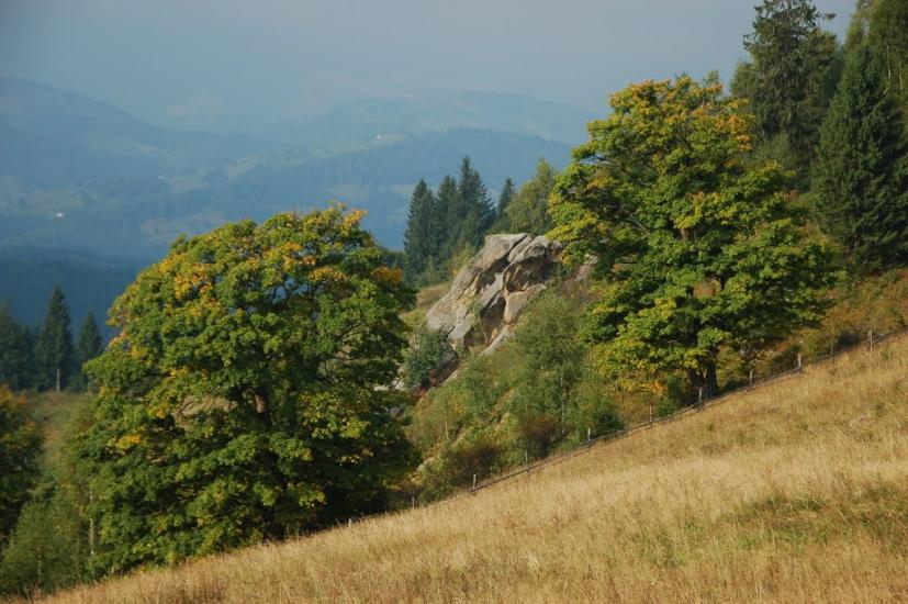 Соколівка з panoramio.com - Соколовка