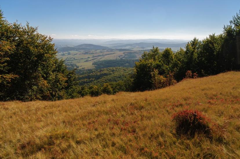 Гусний з panoramio.com - Гусний