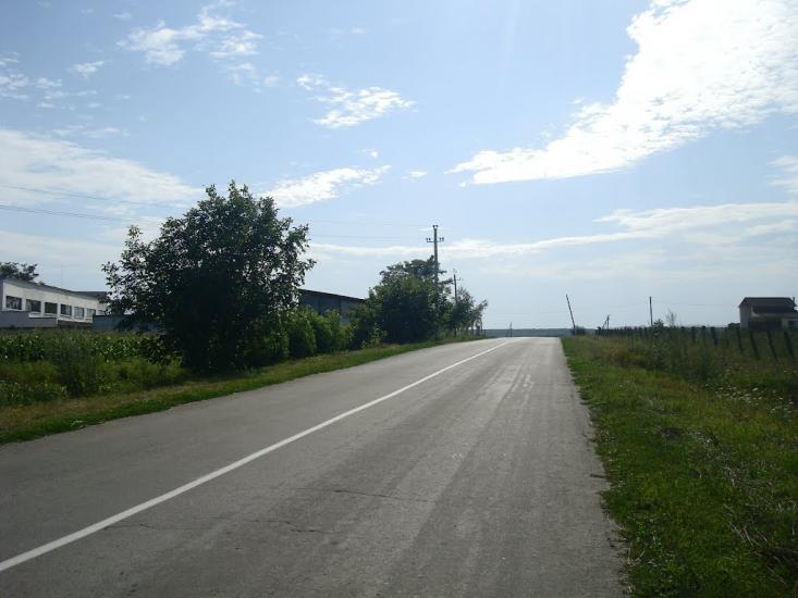 Віньківці з panoramio.com - Виньковцы