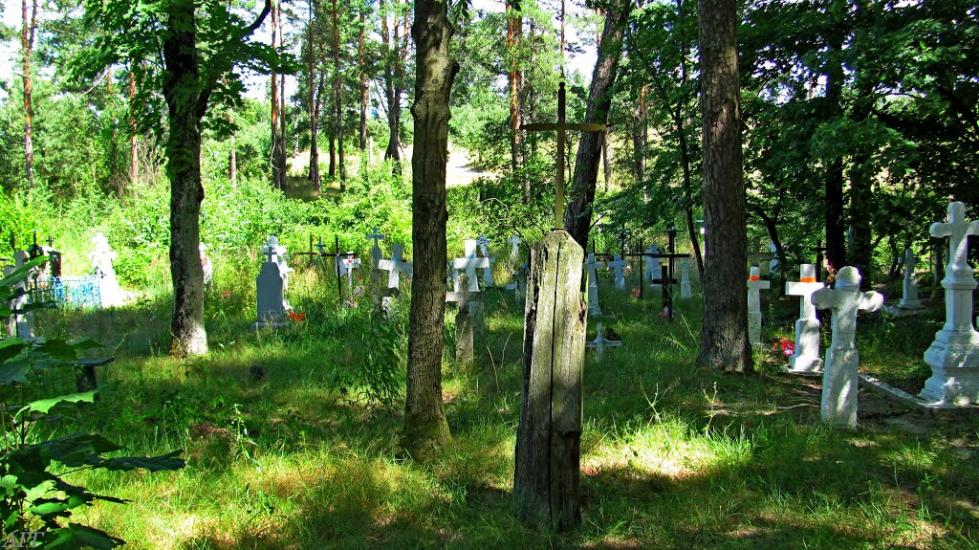 Кураш з panoramio.com - Кураш