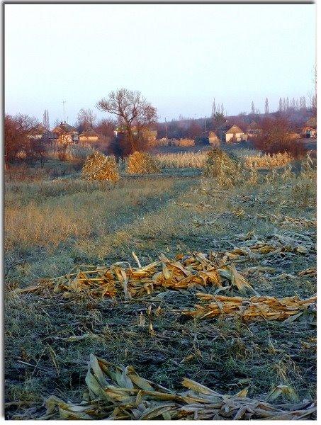 Новий Стародуб з panoramio.com - Новий Стародуб