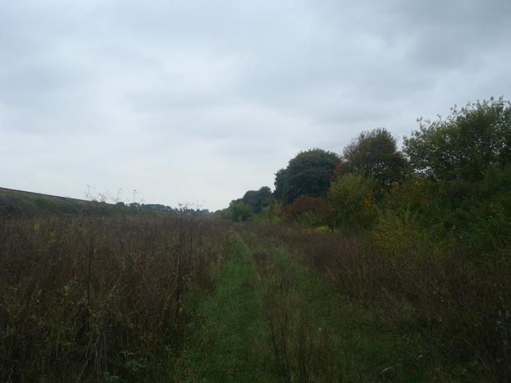 Григорівка з panoramio.com - Grygorivka