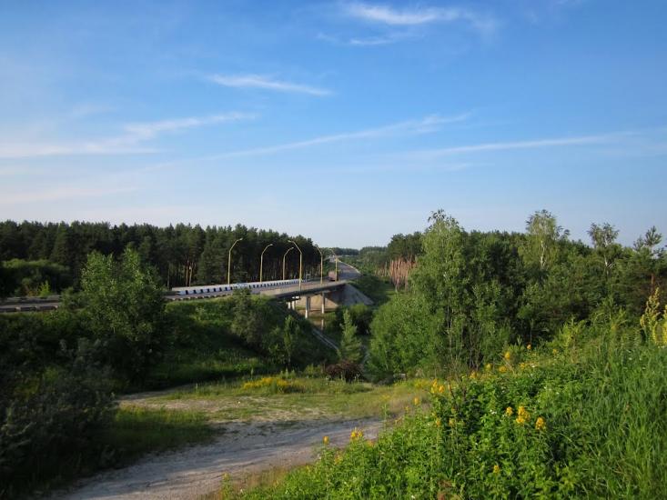 Скоморохи з panoramio.com - Скоморохи