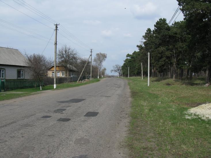 Нова Осота з panoramio.com - Новая Осота