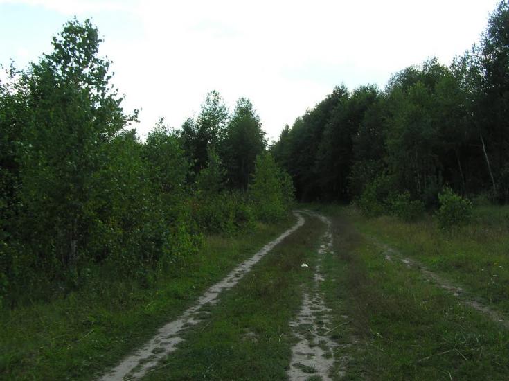 Нова Ушиця з panoramio.com - Новая Ушица