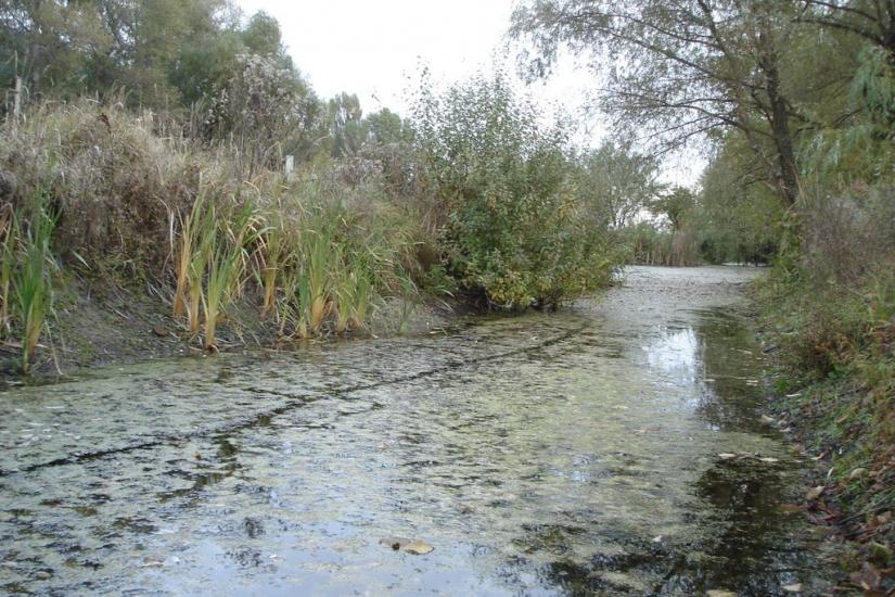 Власівка з panoramio.com - Власовка