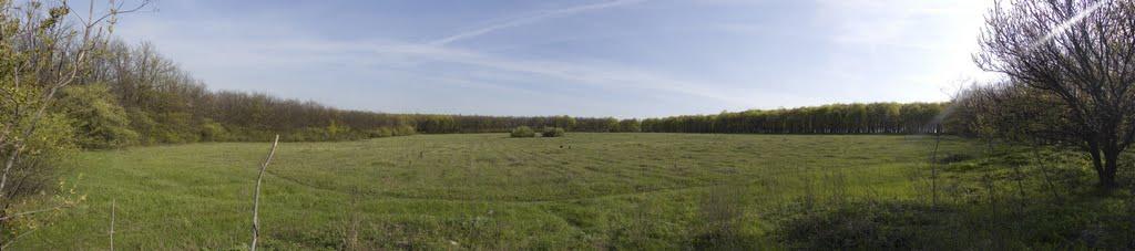 Доля з panoramio.com - Dolya
