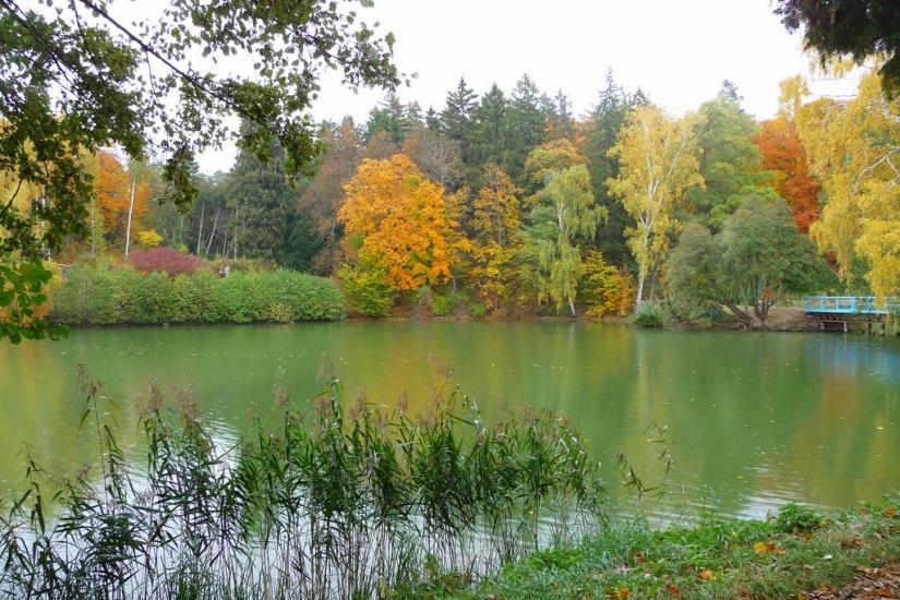 Васьківці з panoramio.com - Васьковцы