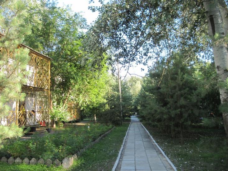 Омельник з panoramio.com - Омельник
