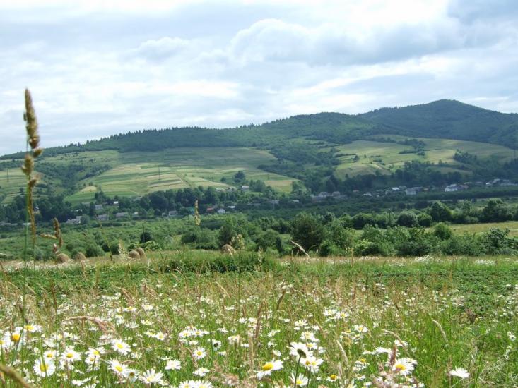 Бусовисько з panoramio.com - Бусовиско