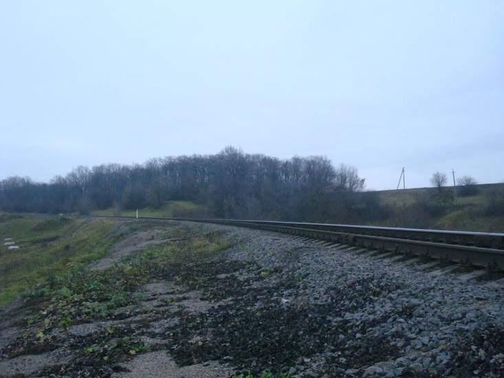 Щиборівка з panoramio.com - Щиборовка