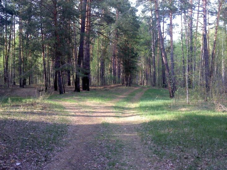 Короп з panoramio.com - Короп