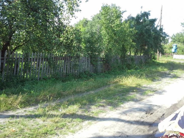 Вирка з panoramio.com - Вирка