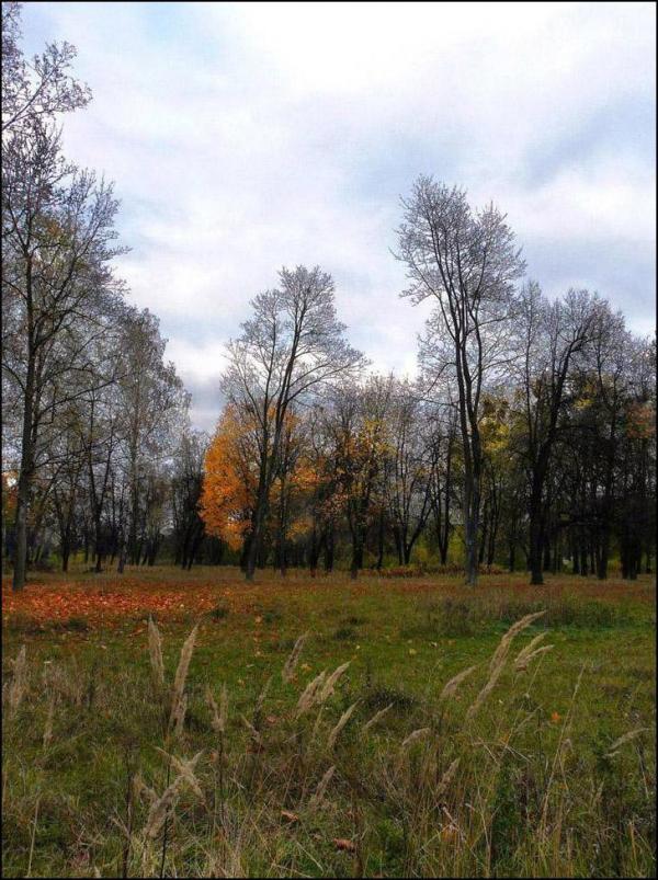 Світин з panoramio.com - Свитын