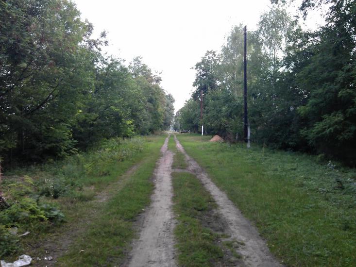 Великі Крушлинці з panoramio.com - Velyki Krushlyntsi