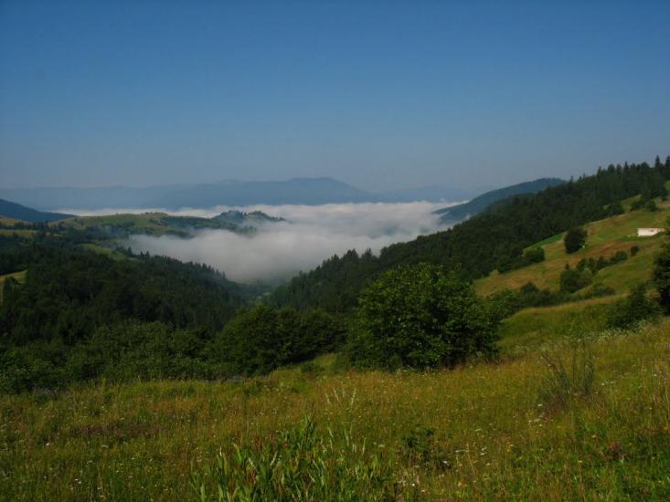 Стригальня з panoramio.com - Стригальняя