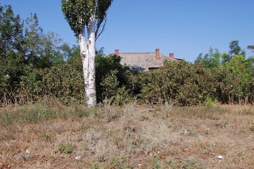 Андрівка з panoramio.com - Андровка