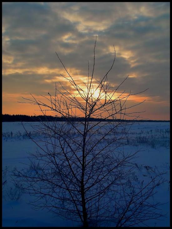 Пухова з panoramio.com - Пухова