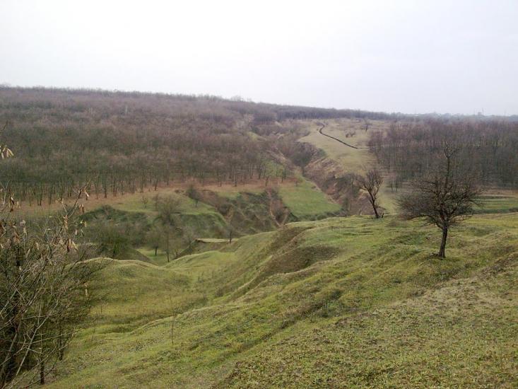 Горького з panoramio.com - Горького