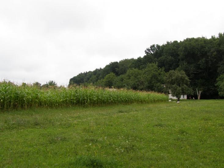 Сатанівка з panoramio.com - Сатановка