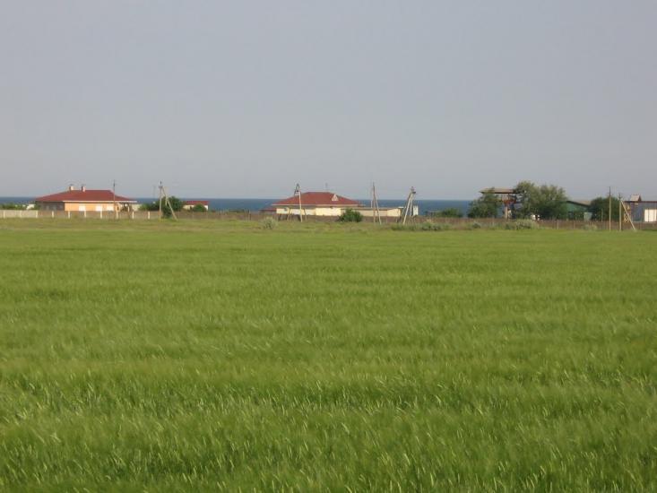 Степанівка Перша з panoramio.com - Степанівка Перша