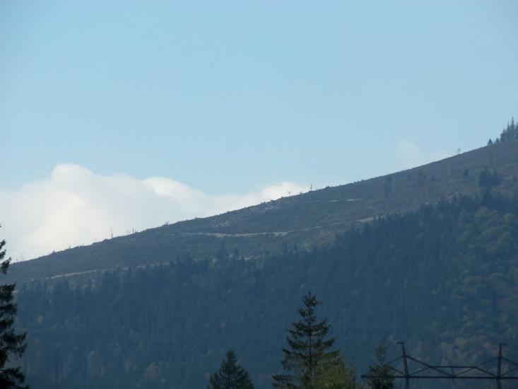 Пшеничники з panoramio.com - Пшеничники