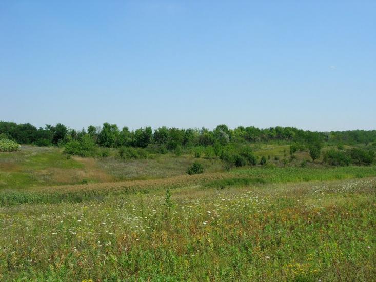 Новомайське з panoramio.com - Новомайское