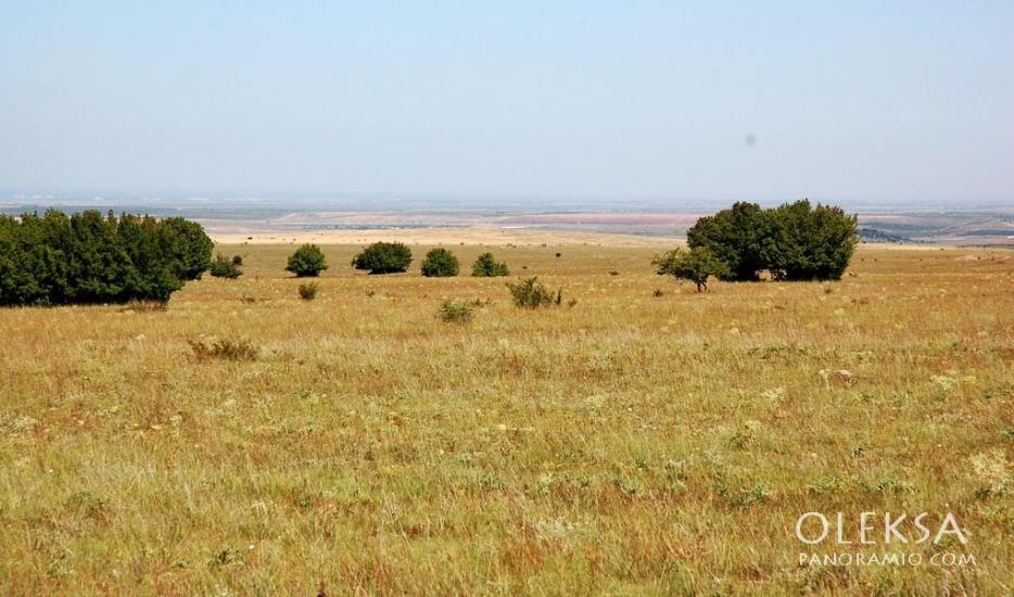 Рєпіне з panoramio.com - Рєпіне